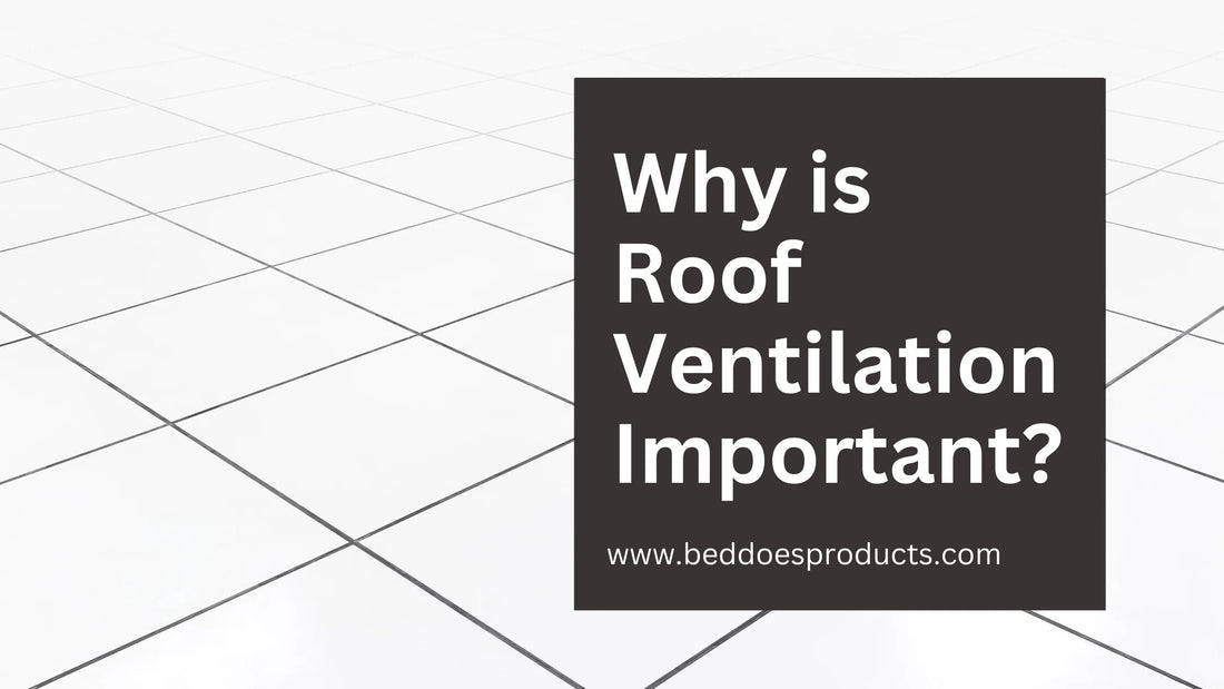 Why is Roof Ventilation Important?