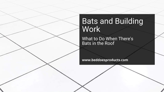 Bats and Building Work