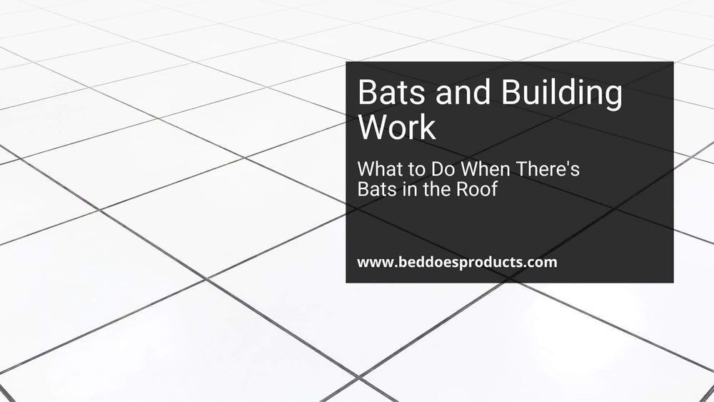 Bat Access Tiles Guides from the Experts at Beddoes Products