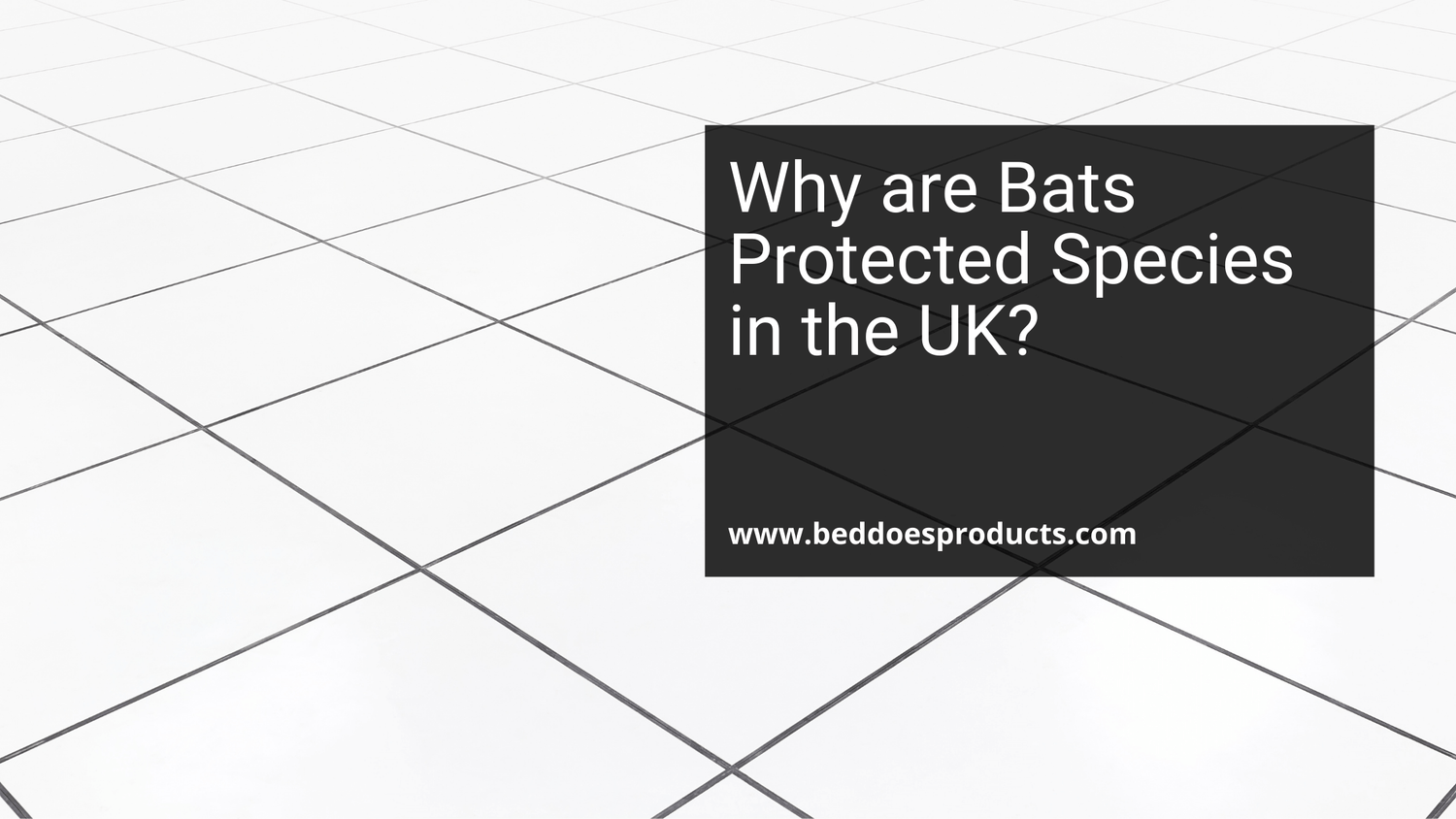 Bat Access Tiles Guides From The Experts At Beddoes Products bat-access-tiles-guides-from-the-experts-at-beddoes-products