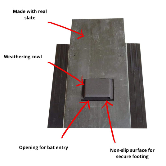 Bat Access Slate - Made with Real, Natural Slate